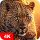 Hintergrundbilder mit Tier 4K icon