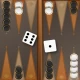Backgammon Spel Nederlands icon