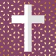 Bible Louis Segond avec audio icon