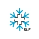 White Risk - SLF Lawinen-App icon