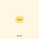 카카오톡 테마 - 오리 icon