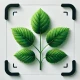 Planten Herkennen - Plantio icon