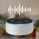 Voice Command icon