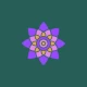 AuraPura icon