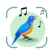 Vogelstimmen Erkennungs App icon
