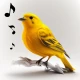 Vogelgeluiden icon