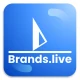 Brands.live - Festival Poster icon