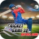 Cricket Game 3D: Bat Ball Game icon
