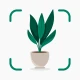 معرف النبات : Plantify icon