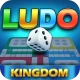 Ludo Kingdom Online Board Game icon