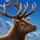 Cascadia Digital icon