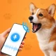 Tradutor De Cachorro Divertido icon