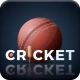 Live Cricket TV Streaming icon