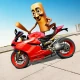 Indian Bike Gangster Games 3d icon