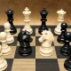 체스 - Chess icon