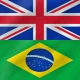 Inglês - Português icon