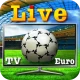 Calcio in diretta TV Euro icon