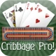 Cribbage Pro Online! icon