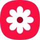 Gallery icon