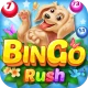 Bingo Rush - Jogos de Bingo icon