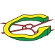 Geesteren icon
