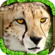 Cheetah Simulator icon
