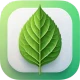 گل بین | شناسایی گیاه با عکس icon