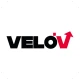 Vélo'v officiel icon