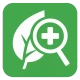 Doença de planta icon