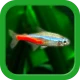 熱帯魚育成「ミニアクア」癒しのアクアリウム体験 icon