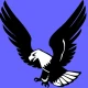 Alarmas Tausend IP icon