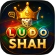 Ludo Mulltiplayer Board Game icon