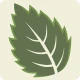 ArbolApp icon