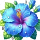 Nature Calm Paint by Numbers icon