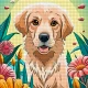 Cross Stitch:Craft & Art icon