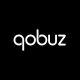 Qobuz: ミュージックとエディトリアル icon
