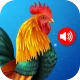 Sonneries d'animaux icon