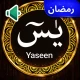 سورة يس صوت بدون نت MP3 icon