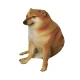 Cheems icon