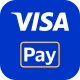 Visa Pay icon