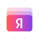 Яндекс Пэй icon