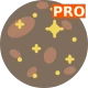 자미두수 명반 PRO icon