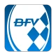 BFV icon