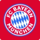 FC Bayern München icon