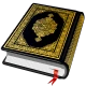 Al QURAN - القرآن الكريم icon