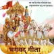 Bhagavad-Gita in Hindi icon
