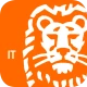 ING Italia icon