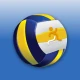 FIPAVonline icon