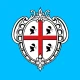 ECM SAR icon