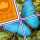 Jigsaw Drop: Solitaire Rätsel icon